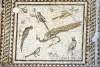 Mosaïque du paon et des oiseaux - Mosaic of peacock and birds - Hatay  Antioche - Antakya