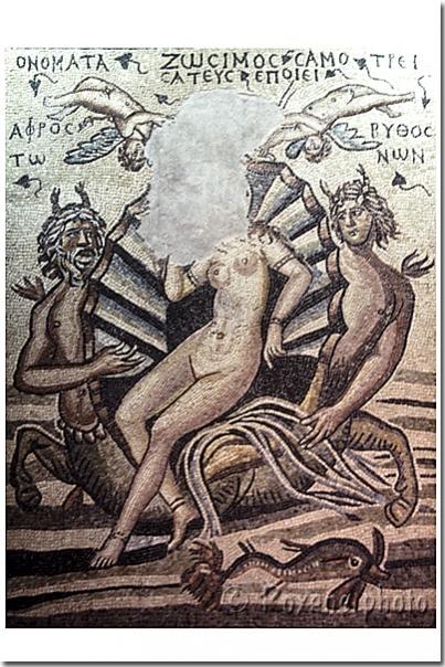 Mosaïque de la naissance d'Aphrodite - Mosaic of Aphrodite'birth - Gazi Antep