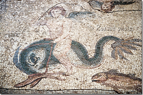 Mosaïque de Zeugma - Zeugma mosaic - Zeugma mozaiki - Gazi Antep Gaziantep