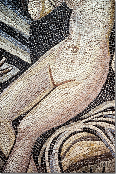 Naissance d'Aphrodite - Mosaïque de Zeugma - Birth of Aphrodite  Zeugma mosaic - Afrodit dogumu - Zeugma mozaiki - Gazi Antep
