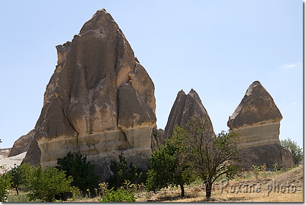 Cheminées de fées - Parc national de Göreme - Hoodoos - Göreme National Park and the Rock Sites of Cappadocia - Göreme Milli Parklar  Göreme - Cappadocia - Cappadoce