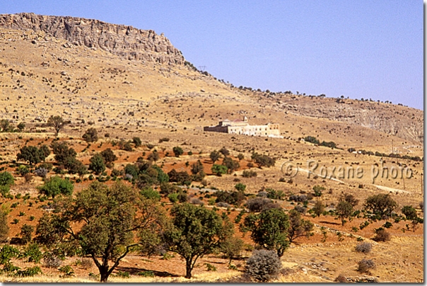 Monastère du Safran - Deyrul Zafaran manastiri - Mardin