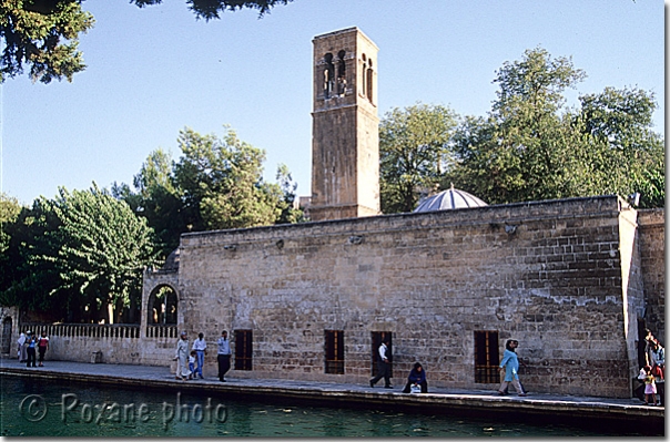 Mosquée Halil-Ur Rahman et canal des jardins d'Abraham - Halil-Ür Rahman camii ve Balikli Göl - SanliUrfa 