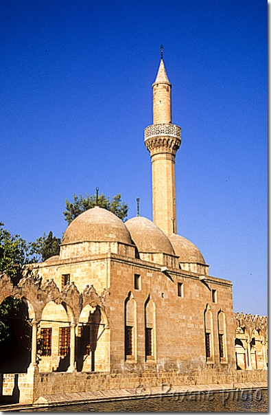 Mosquée Rizvaniye - Rizvaniye mosque - Urfa