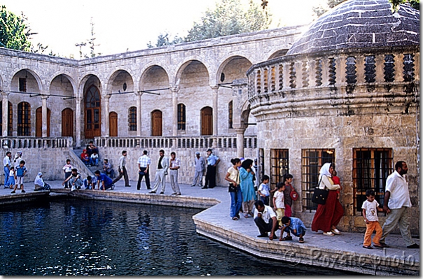 Bassin d'Abraham - Lac des poissons - Fishes lake - Balikli göl - Sanli Urfa - Sanliurfa