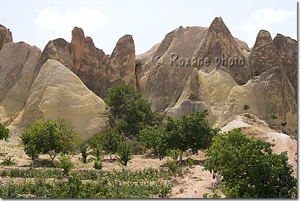 Vallée blanche - White valley - Beyaz vâdisi - Cavusin - Çavusin