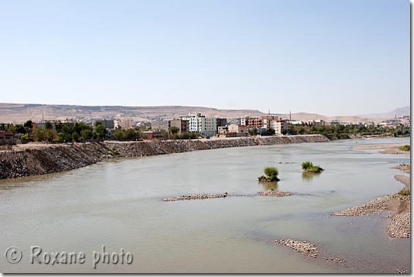 Tigre - Cizre