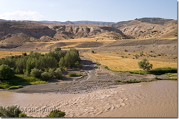 Euphrate - Euphrates - Firat