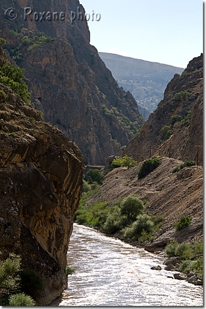 Fleuve Euphrate - Euphrates river - Gorges de l'Euphrate - Euphrates' gorges - Firat