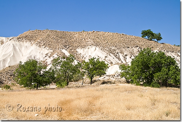 Vallée blanche - White valley - Göreme - Cappadocia - Cappadoce