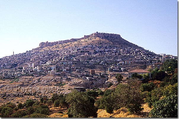 Mardin