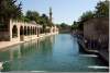 Bassin aux poissons sacrés - Lake with holy fishes - Balikli göl - Sanliurfa - Sanli Urfa