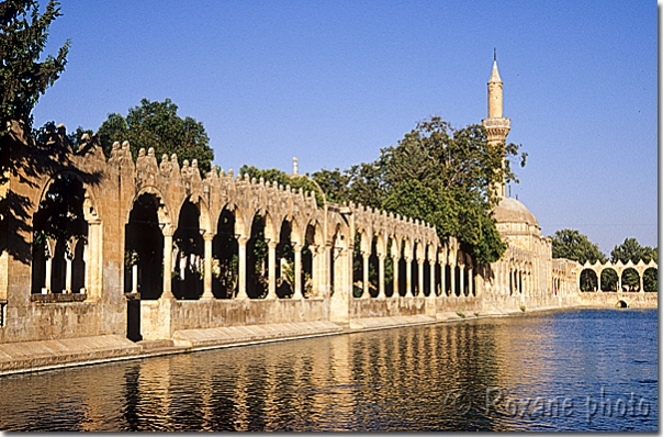 Bassin d'Abraham - Lac des poissons - Balikli Göl - Urfa - SanliUrfa