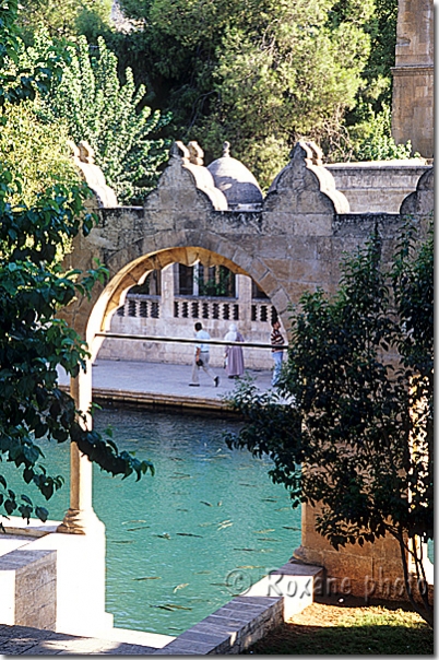 Jardins d'Abraham - Balikligol - Sanli Urfa