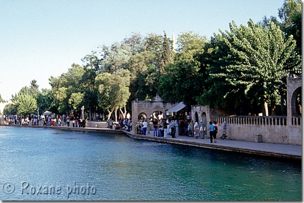 Jardins d'Abraham - Balikli göl - Urfa - Sanliurfa