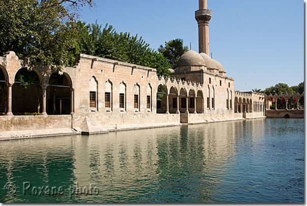 Mosquée Rizvaniye - Rizvaniye mosque - Rizvaniye camii - Sanli Urfa - Sanliurfa