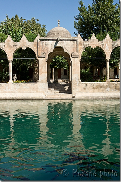 Mosquée Rizvaniye - Rizvaniye mosque - Urfa - Sanli Urfa