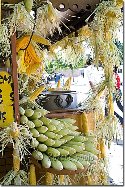 Maïs bouilli - Boiled corn - Misir - Sivas